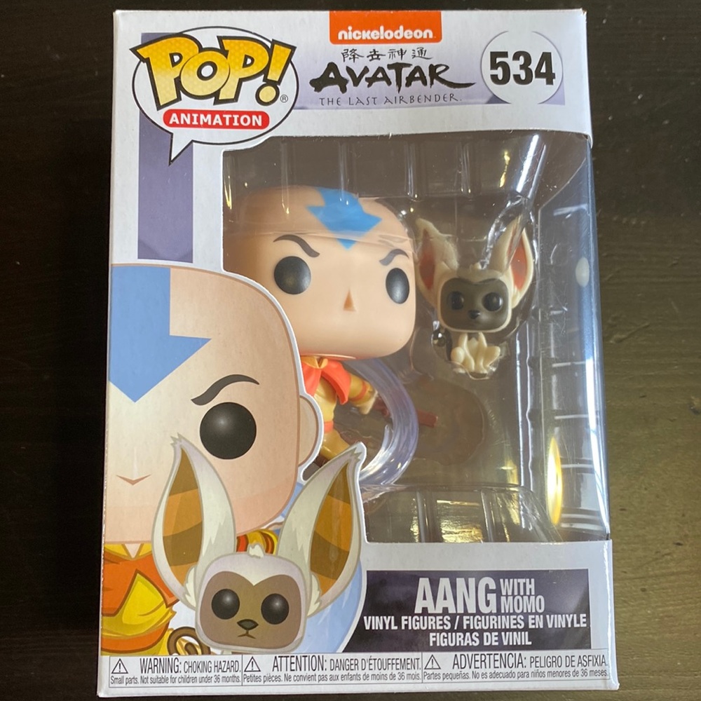 aang with momo funko pop! from avatar